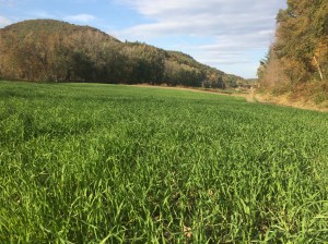 LundField_PhotoCredit_Stacy_Gambrel