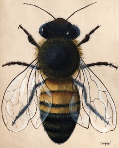 Tim Campbell's Honey Bee